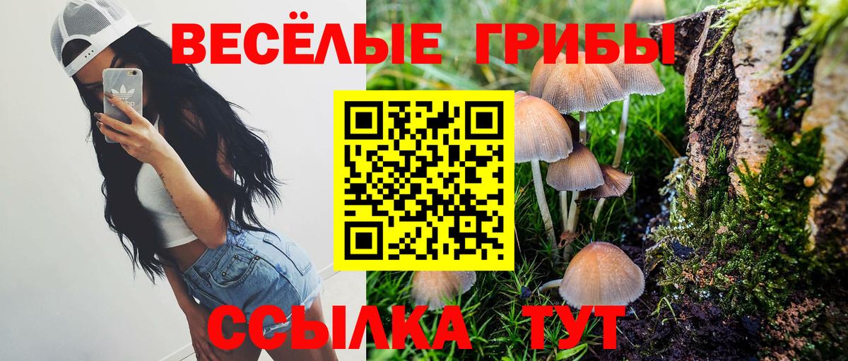 Галлюциногенные грибы прущие грибы  где купить наркотик  Можга  Вход с VPN 